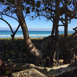 Meet your Posher, Jill.